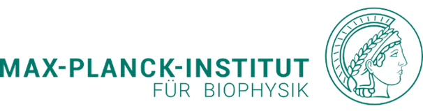 Logo des Max-Planck-Instituts für Biophysik